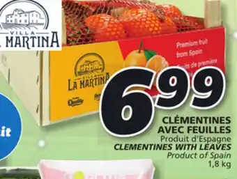 IGA Clementines with leaves offer