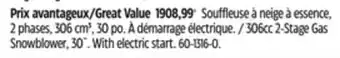 Canadian Tire Briggs-stratton 306cc 2-stage gas snowblower, 30 offer