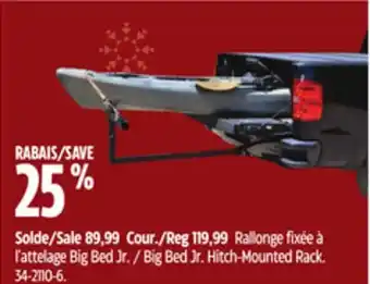 Canadian Tire Erickson big bed jr. hitch-mounted rack offer