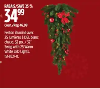 Canadian Tire Noma swag with 25 warm white led lights offer