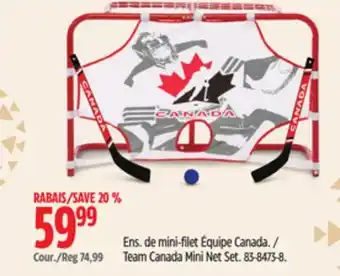 Canadian Tire Team canada mini net set offer