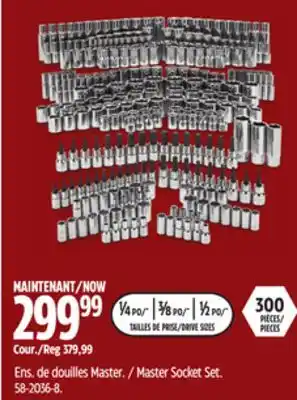 Canadian Tire Maximum master socket set, 300-pc, crv, nickel-chrome plating offer