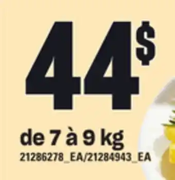 Provigo A l'chat de dindons surgeles infuses de beurre pc ou ordinaires butterball, de 7 à 9 kg offer