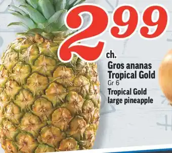 Marché Richelieu Gros ananas tropical gold | tropical gold large pineapple offer