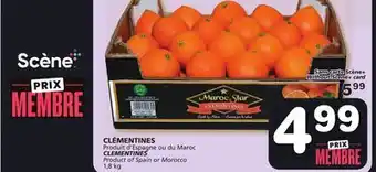 Marches Tradition Clementines offer