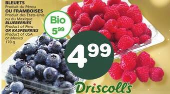 Marches Tradition Blueberries product of peru or raspberries product of usa or mexico 170 g offer