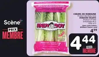 Marches Tradition Romaine hearts offer