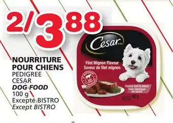 Marches Tradition Pedigree cesar dog food offer
