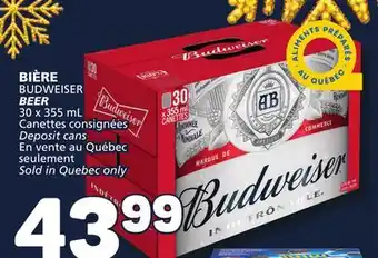 Marché Bonichoix Budweiser beer offer