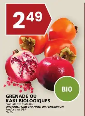 Rachelle-Bery Grocery Organic pomegranate or persimmon offer