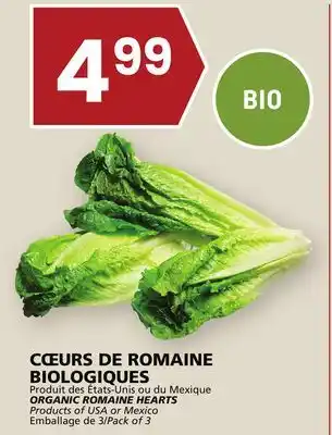 Rachelle-Bery Grocery Organic romaine hearts offer