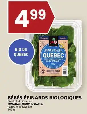 Rachelle-Bery Grocery Organic baby spinach offer
