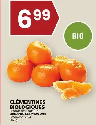 Rachelle-Bery Grocery Organic clementines offer