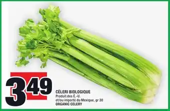 Super C Céleri biologique | organic celery offer