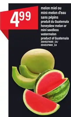 Maxi Melon miel ou mini-melon d'eau sans pépins offer