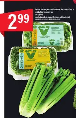 Maxi Laitue boston, croustillante ou salanova gen v produit du canada 2 un offer