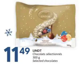 Brunet Lindt chocolats sélectionnés offer