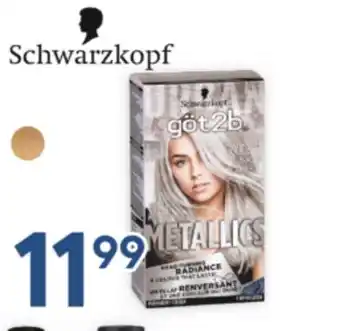 Brunet Schwarzkopf offer