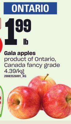 Loblaws Gala apples offer