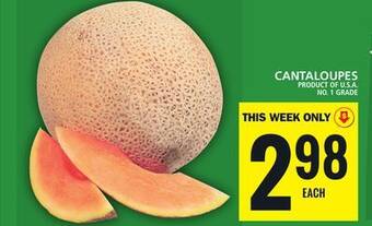 Food Basics Cantaloupes offer