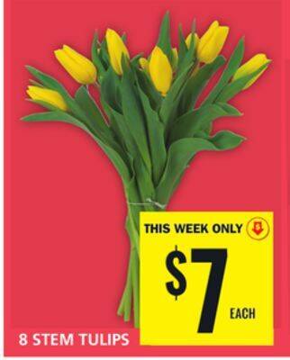 Food Basics 8 stem tulips offer