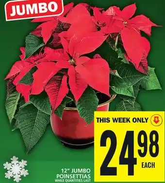 Food Basics 12 jumbo poinsettias offer
