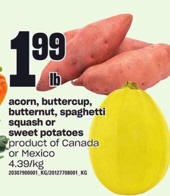 Independent Grocer Acorn, buttercup, butternut, spaghetti squash or sweet potatoes offer
