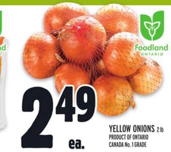 Metro Yellow onions offer