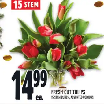 Metro Fresh cut tulips offer