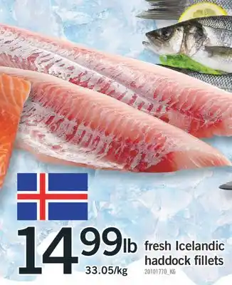 Fortinos Fresh icelandic haddock fillets offer