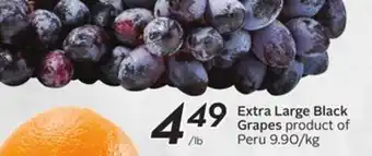 Sobeys Extra large black grapes offer