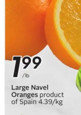 Sobeys Large navel oranges offer