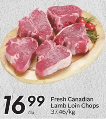 Sobeys Fresh canadian lamb loin chops offer