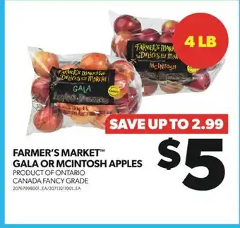 Real Canadian Superstore Farmer's market gala or mcintosh apples offer