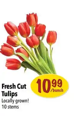 Farm Boy Fresh cut tulips offer