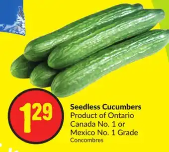 FreshCo Seedless cucumbers product of ontario canada no. 1 or mexico no. 1 grade offer