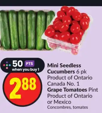 FreshCo Mini seedless cucumbers 6 pk product of ontario canada no. 1 offer