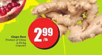 Chalo FreshCo Ginger root product of china 6.59/kg offer