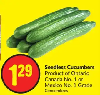 Chalo FreshCo Seedless cucumbers product of ontario canada no. 1 or mexico no. 1 grade offer