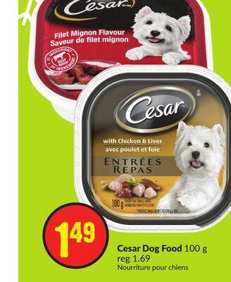 Chalo FreshCo Cesar dog food 100 g offer