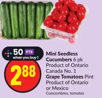 Chalo FreshCo Mini seedless cucumbers 6 pk product of ontario canada no. 1 grape tomatoes pint product of ontario or mexico offer
