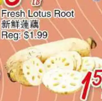 Foody Mart Fresh lotus roots offer