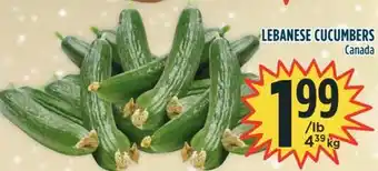 Marché Adonis Lebanese cucumbers offer