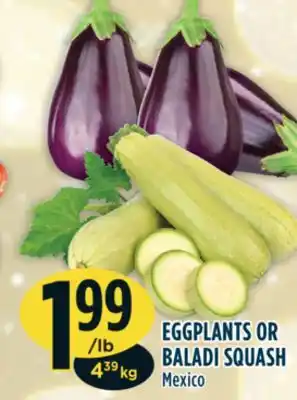 Marché Adonis Eggplants or baladi squash offer