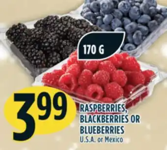Marché Adonis Raspberries, blackberries or blueberries offer