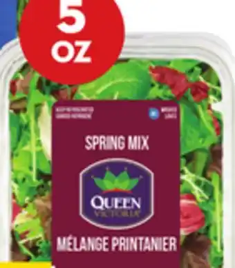Giant Tiger 5 oz spring mix offer
