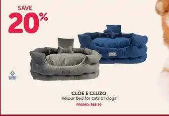 Mondou Clöe e cluzo velour bed for cats or dogs offer