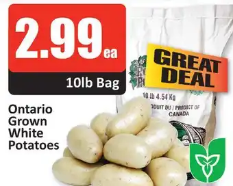 Starsky Ontario grown white potatoes offer