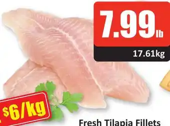 Starsky Fresh tilapia fillets offer