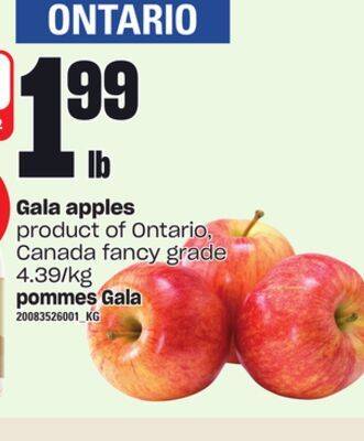 Independent City Market Gala apples offer